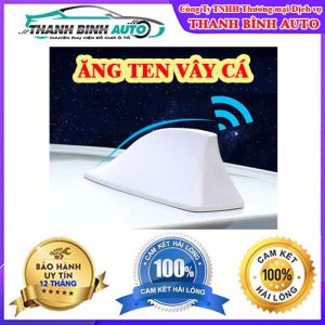 Ăng ten vây cá