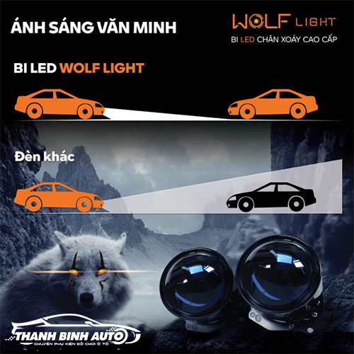 Địa chỉ lắp bi led chân xoáy Wolf Light tại Thanh Bình Auto