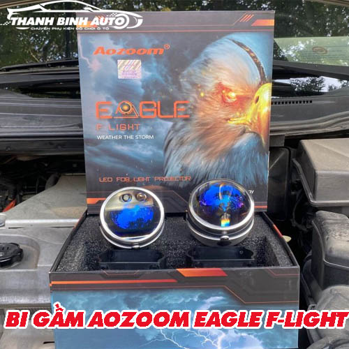 bi gam aozoom eagle flight thanh binh auto 3